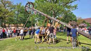 Gifhorn feiert in den Mai: Hier werden Maibäume aufgestellt