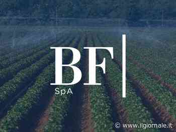 BF Spa, approvato il progetto di bilancio di esercizio 2024