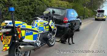 Two arrested after stolen car from Wallsend breaks down in Killingworth