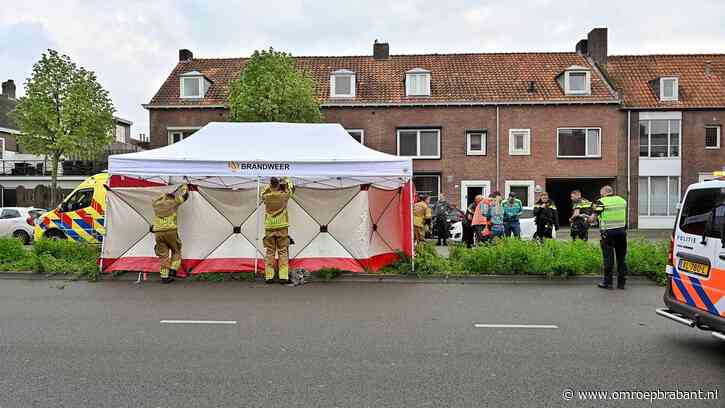Racen op de ringbaan: 'Ook zonder drugs rijden ze veel te hard'