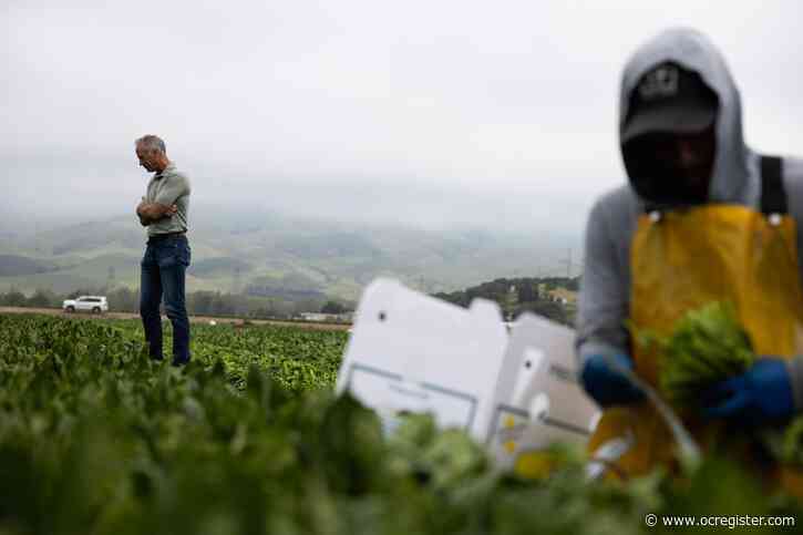 How Trump tariffs could upend California farms, wine and ports