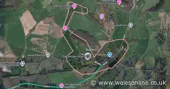 Girl, 12, fighting for life in hospital after seven hurt in serious multi-vehicle crash