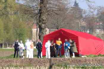 Autopsie op lichaam dat werd gevonden in veld in Brecht afgerond: slachtoffer was drugssmokkelaar met maag vol bolletjes cocaïne