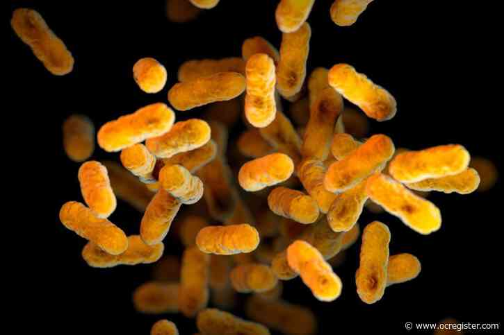 Whooping cough cases are rising again in the US, challenging public health departments