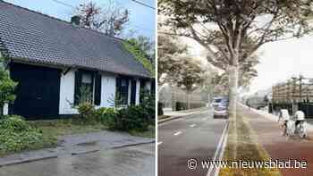 Beerse sloopt woning langs Nieuwe Dreef voor ontsluitingsweg: “Percelen aan overkant kunnen worden gespaard”