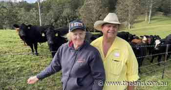 To breed or trade? Market cycle tempts transition towards more cash flow