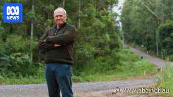 Former treasury boss looking past logging to 'grow money on trees'