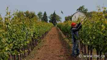 How do the major political parties plan to support migrant workers who bring the harvest to Canadian tables?