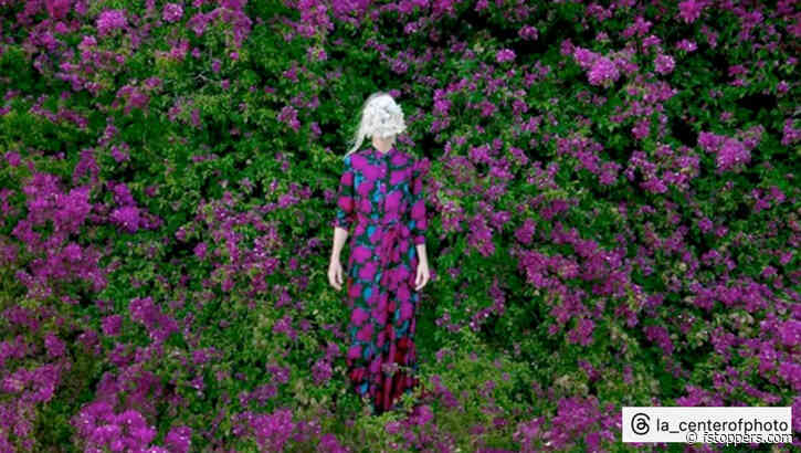 Blow Up on Social Media (And Never Appear on Camera)