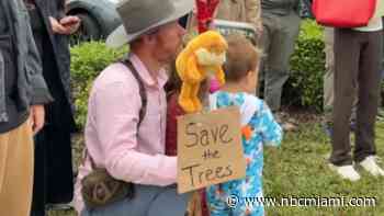 Proposal to change Miami's tree permitting process withdrawn amid public outcry