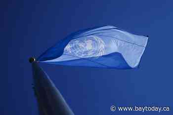 B.C. First Nation at UN calling for government help in battling toxic drug crisis