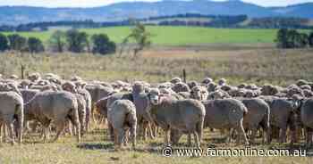 Waterloo Plains a property well suited to cattle, sheep and wool production