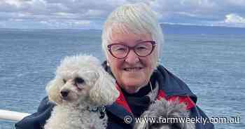Australian natives bloom with every brushstroke by former flying nurse