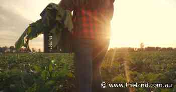 Hopes Green Paper will greenlight action on overdue food security strategy