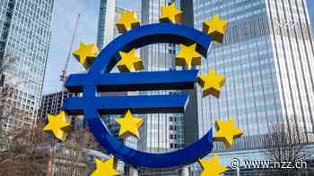 KOMMENTAR - Eine harte Währung provoziert starke Unternehmen und eine vitale Wirtschaft: Davon ist die Euro-Zone weit entfernt