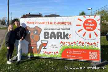 Lieselot (23) en Jonas (26) openen zomerbar met een staartje: “Een sociale ontmoetingsplek met focus op honden”