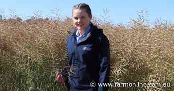 World set for record crop, new grain futures exchange: grains news in brief