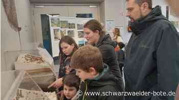 50 Jahre Eingemeindung: Wie Sulz  mit Herrenberg flirtete und schließlich Wildberg heiratete