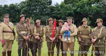 Campaign Chaos: Shock election odds, Nats policy 'confetti', Bob fires duds