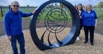 Third York area vineyard now blossoming on farm west of city