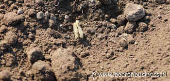 Veel al gepoot, maar grote verschillen in neerslag