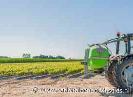 Plan voor lelieteelt naast kinderopvang Herike-Elsen alsnog afgeblazen