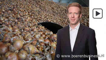 Gaan telers het winnen op de uienmarkt?