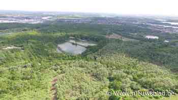 De Vlaamse Waterweg veroordeeld voor onveilig beheer van asbeststort in Boom