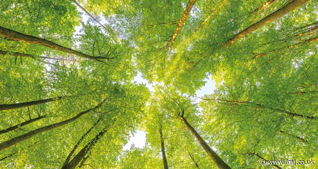 UK SMEs at the forefront of driving industrial decarbonisation in Europe