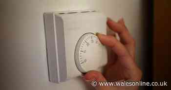 Everyone with an energy bill told 'claim £200 now'