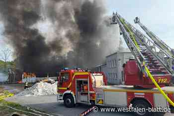 Bielefelder Kripo sucht junge Brandstifter