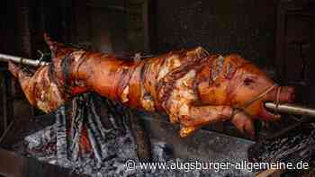 Umstrittenes Schweine-Wettgrillen: Söder lässt die Sau raus