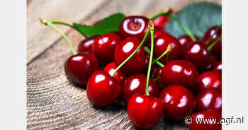 Spaans kersenseizoen over drie weken van start