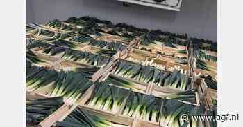 "Overgangsperiode in prei en paprika's al vroeg in het seizoen spotgoedkoop"