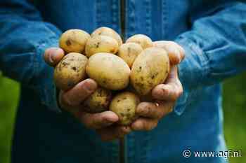 "Aardappelmarkt zakt af naar niveau voor levering af land"
