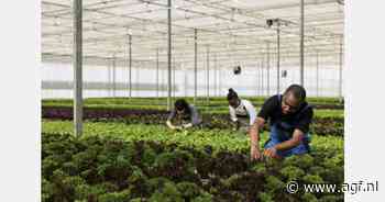 Vanaf 2027 strengere regels uitzendbureaus