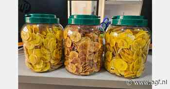 Snacks van Ecuadoraanse bakbanaan voor Europese markt