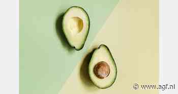 "Nederland als sleutelspeler in de wereldhandel avocado's"