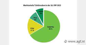 'Zuid-Afrikaanse druiven domineerden de Duitse handel'