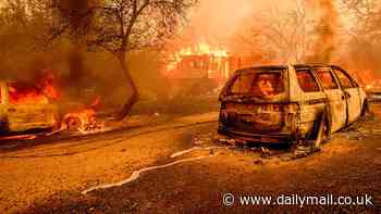 The real cost of climate change: Shocking report reveals how just 111 companies have cost the world $28 TRILLION in climate damage