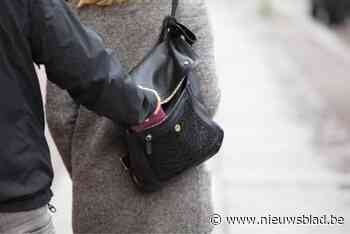 Dief berooft oudere dame, maar agenten kunnen hem snel vatten