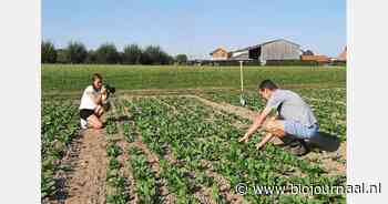 Een virtuele inkijk in biologische landbouw