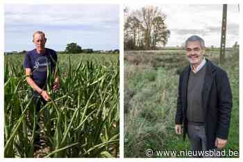 Van ‘vuile sos’ tot ‘pak-de-poenshow’: vraag over uittredingsvergoedingen mondt uit in scheldpartij op gemeenteraad