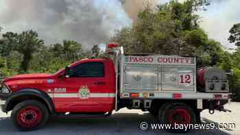 Crews monitoring 40-acre Pasco County brushfire, which is mostly contained