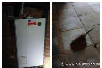 Bejaarde man naar ziekenhuis na CO-vergiftiging