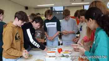 Studenten van Thomas More en Kardinaal Van Roey-Instituut Vorselaar werken samen: "Eerste Dag van de Duurzaamheid verdient vervolg"