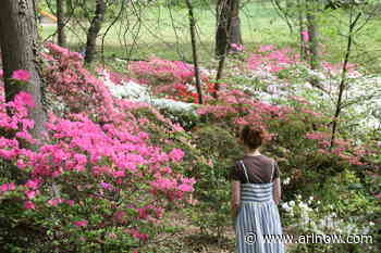 Morning Notes for April 25, 2025