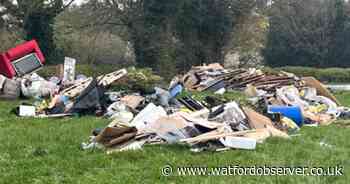 Van seized after 'seven skips of rubbish' dumped in 'disgusting' fly-tip