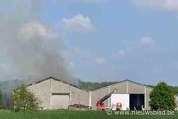 Uitslaande brand in loods: nabijgelegen hoeves geëvacueerd, veiligheidsperimeter ingesteld