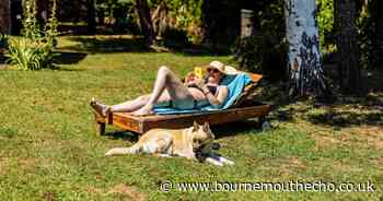 What the rules for sunbathing naked in your own garden? What the law says